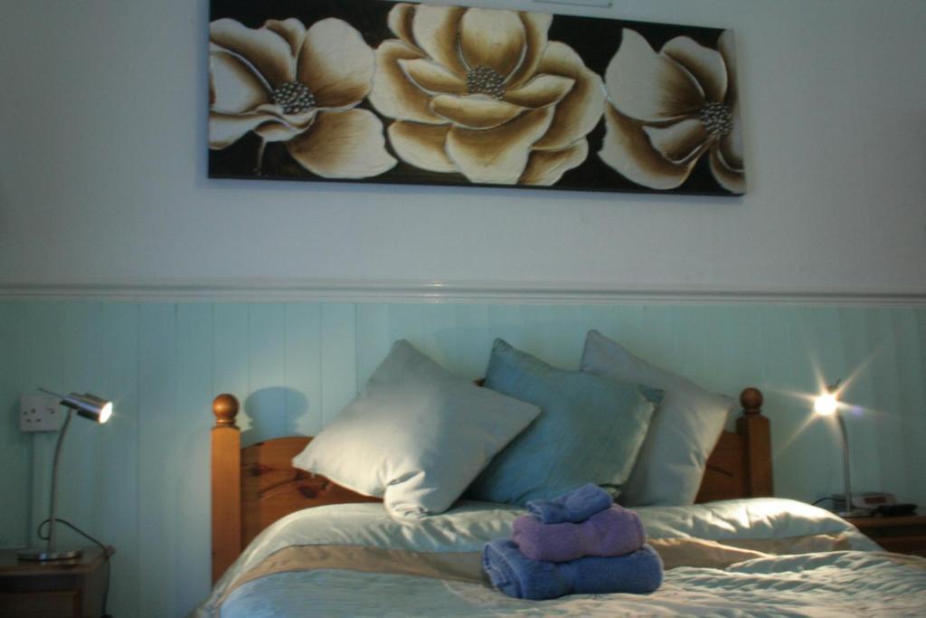 Devon View Guesthouse Swansea Pokoj fotografie