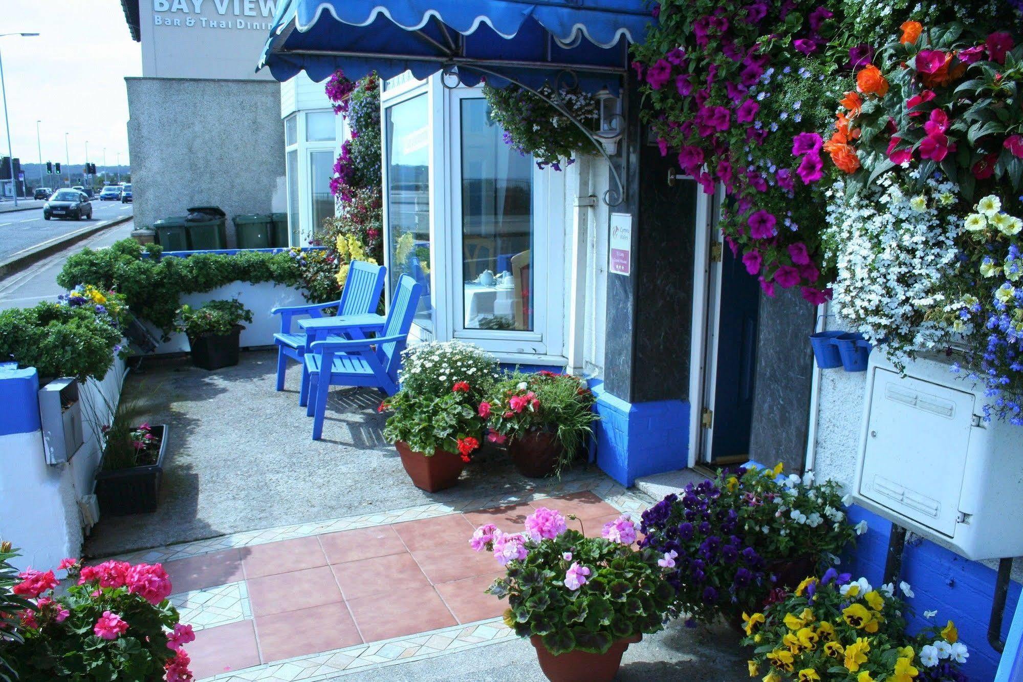 Devon View Guesthouse Swansea Exteriér fotografie