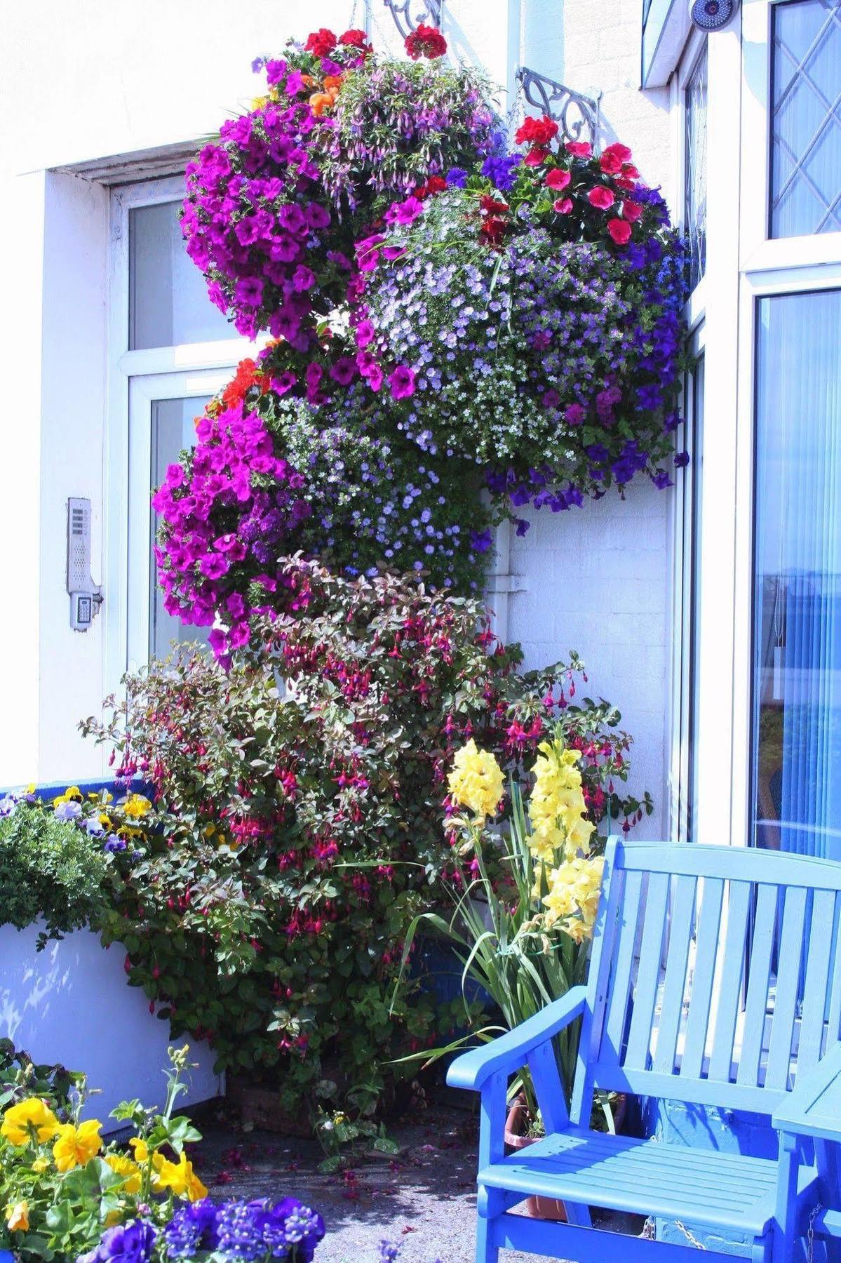 Devon View Guesthouse Swansea Exteriér fotografie